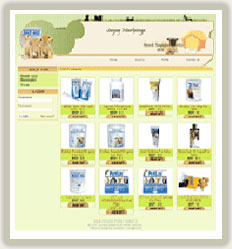 Shopping Cart website, web design companies