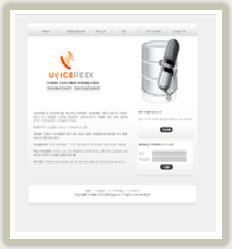 Dynamic website design for a singapore company